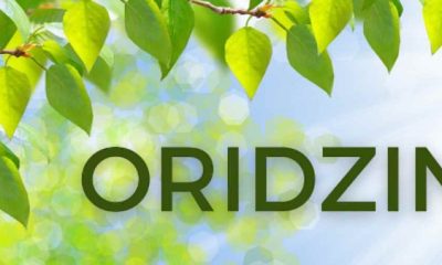 Unraveling the Mysteries of Oridzin: Exploring Its Origin, Properties, and Potential