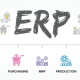 Exploring the Primary Users of ERP Systems: A Comprehensive Analysis