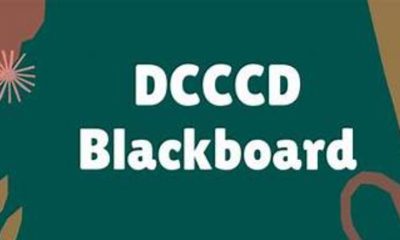 Exploring the Impact and Features of DCCCD Blackboard on Education