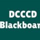 Exploring the Impact and Features of DCCCD Blackboard on Education