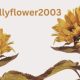 Unveiling the Artistry of Lillyflower2003: A Journey Through Creative Expression