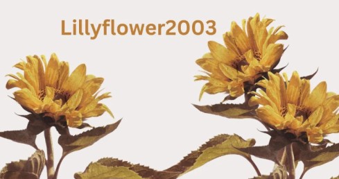 Unveiling the Artistry of Lillyflower2003: A Journey Through Creative Expression